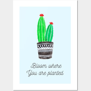 cactus Posters and Art